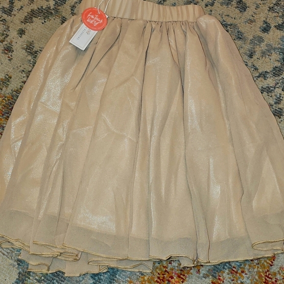 Bailey’s Blossoms Other - Bailey's Blossoms Pleated & Lined Chiffon Aurora Maxi Skirt